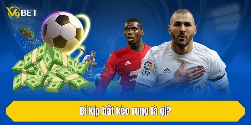Bí kíp bắt kèo rung là gì?