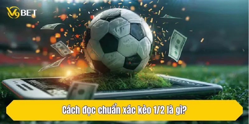 Cách đọc chuẩn xác kèo 1/2 là gì?
