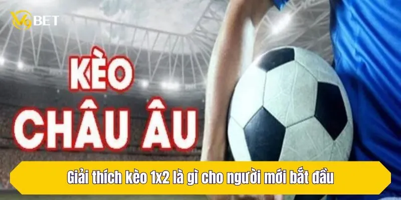 Giải thích kèo 1x2 là gì cho người mới bắt đầu