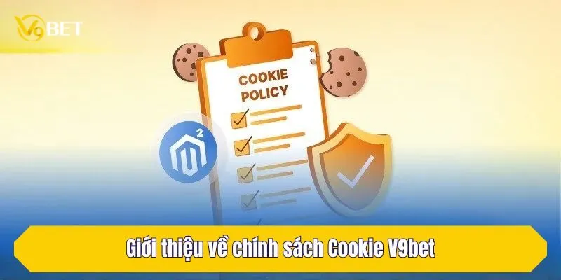 Giới thiệu về chính sách Cookie V9Bet
