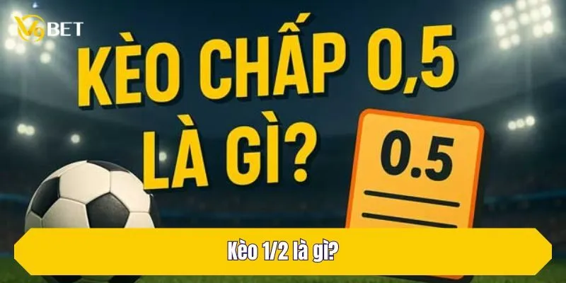Kèo 1/2 là gì?